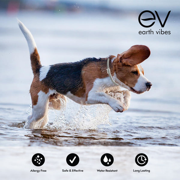 Earth vibes hotsell flea collar