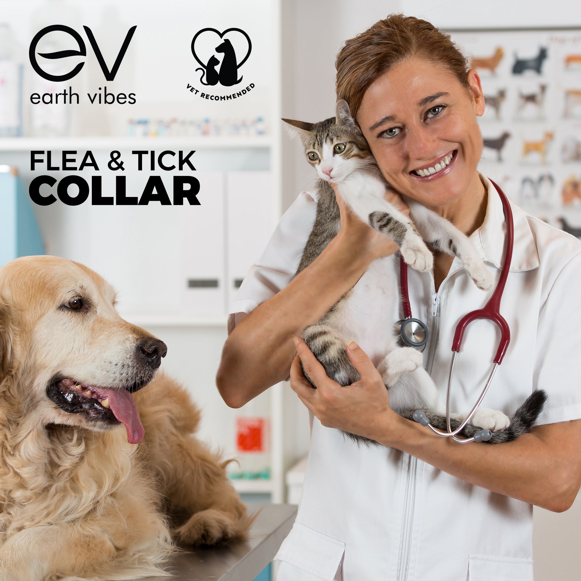 Earth vibes flea and tick collar for dogs outlet